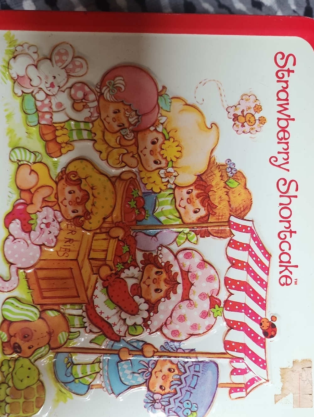 1980 Strawberry Shortcake